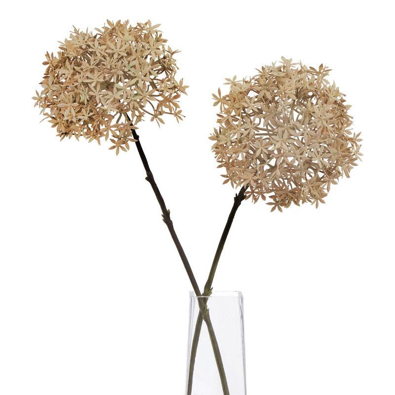 Arrangement, 63 cm H x 5 cm W x 5 cm D, Brown