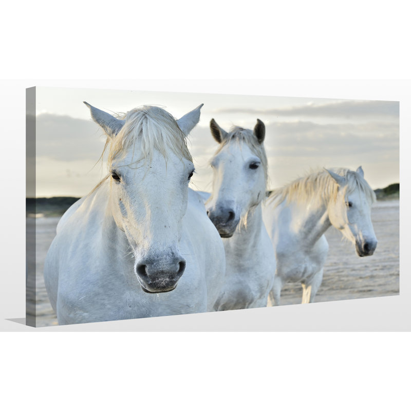« white horses », reproduction de photo sur toile tendue, H 24 po x l 40 po x p 1 po