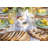 Maison d'Hermine Colmar 100% Cotton Napkins - 20" x 20"