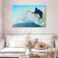 Sailfish Jump-108887298