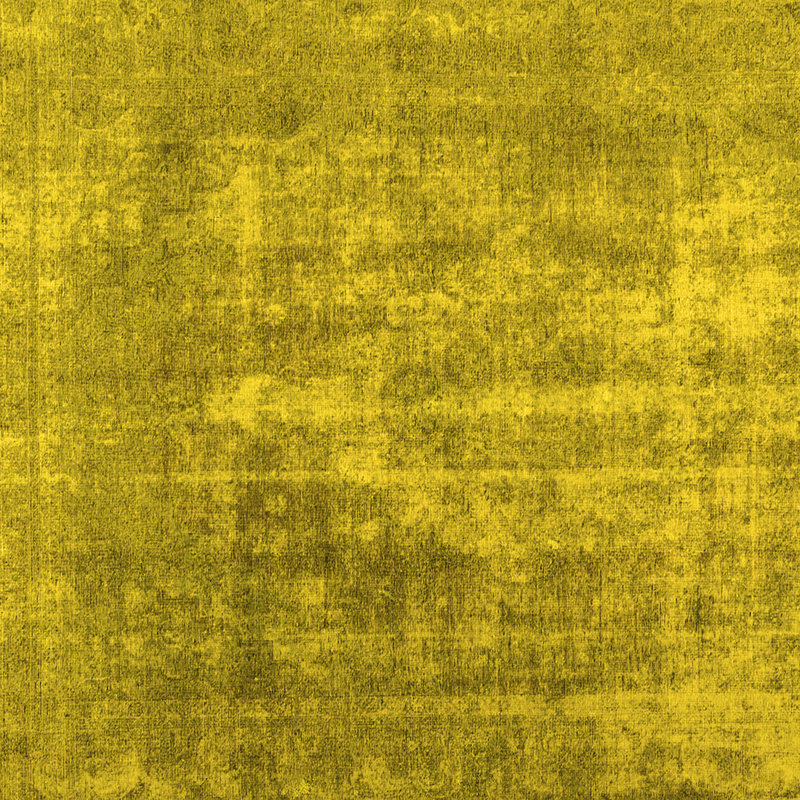 Southwestern Indoor Rug