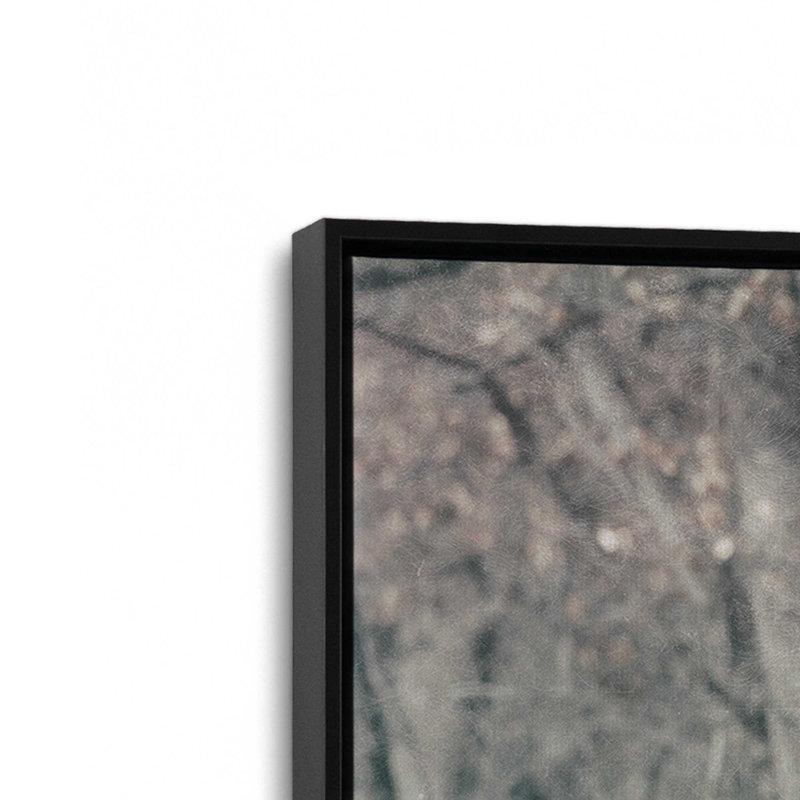 «Sunny Field III» par Nathan Larson, reproduction d'art, Noir, H 12 po x l 18 po, Cadre flottant