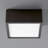 Pyxis Acrylic Flush Mount-19929018