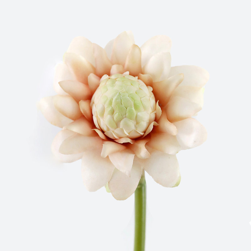 Waratah Protea Faux Floral, Pink, 31" H x 6" W