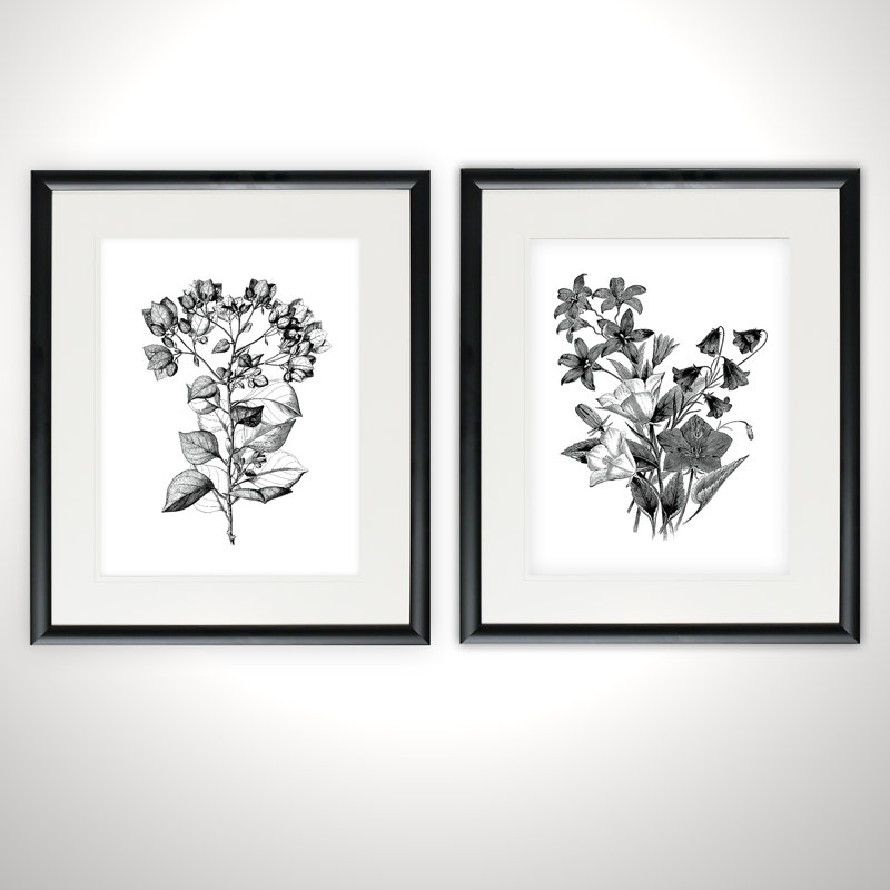 «Botanical Black and White», ensemble de 2 reproductions, Impression encadrée, H 20 po x l 16 po, Black