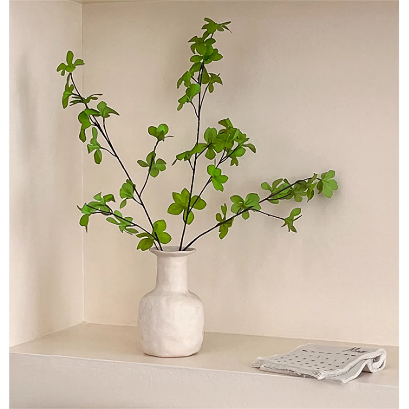 Zacharie 6,69 plante