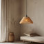Luminaire suspendu 1 lumière en corde de chanvre-1601309166