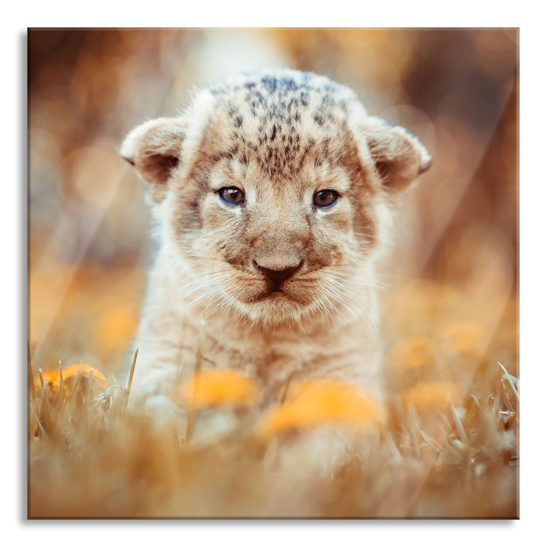 Ungerahmtes Foto auf Glas "Cute Lion Cub"