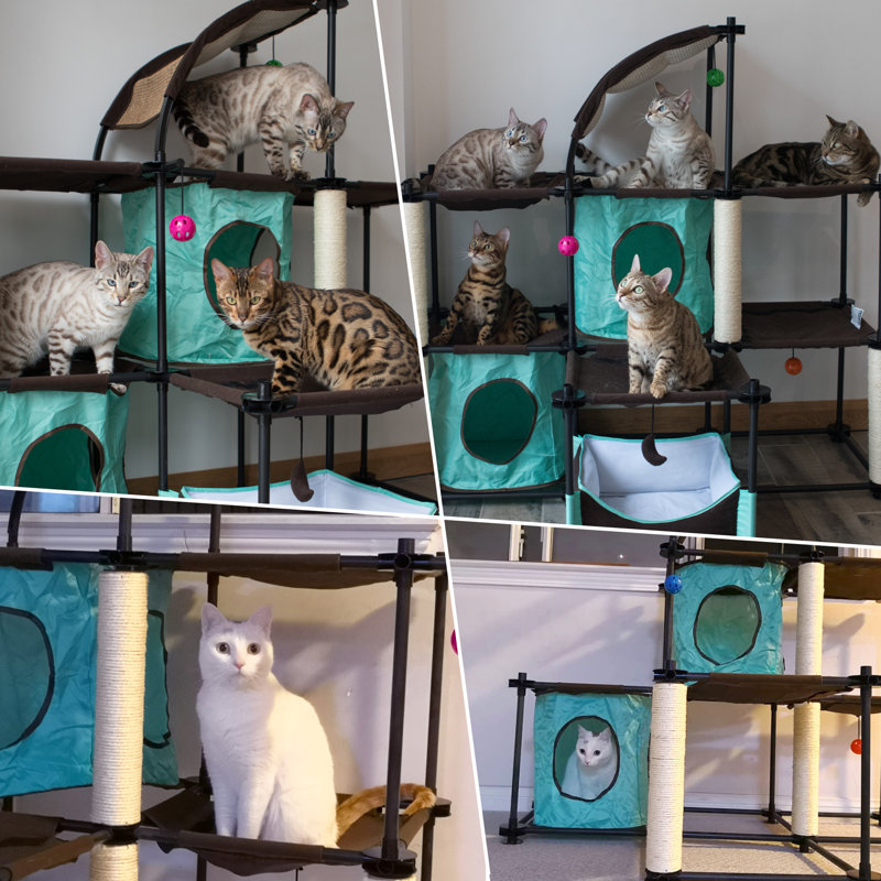Alahbasri 46.75'' H Cat Tree