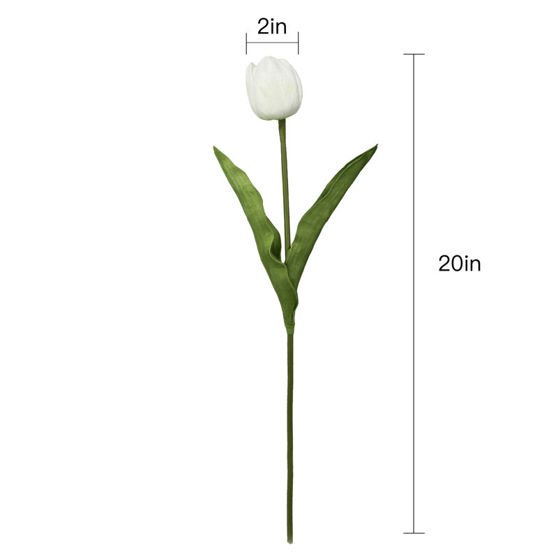 Tiges de tulipes, Blanc