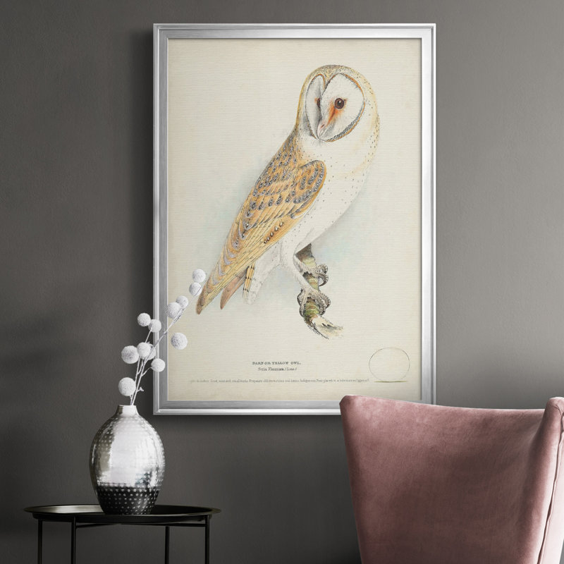 Toile encadrée de qualité supérieure Barn Owl - prête à être accrochée, Argent, H 30,5 po x l 22,5 po x P 1 po