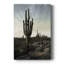 «King of the Desert», reproduction encadrée - galerie Cavas-725060556