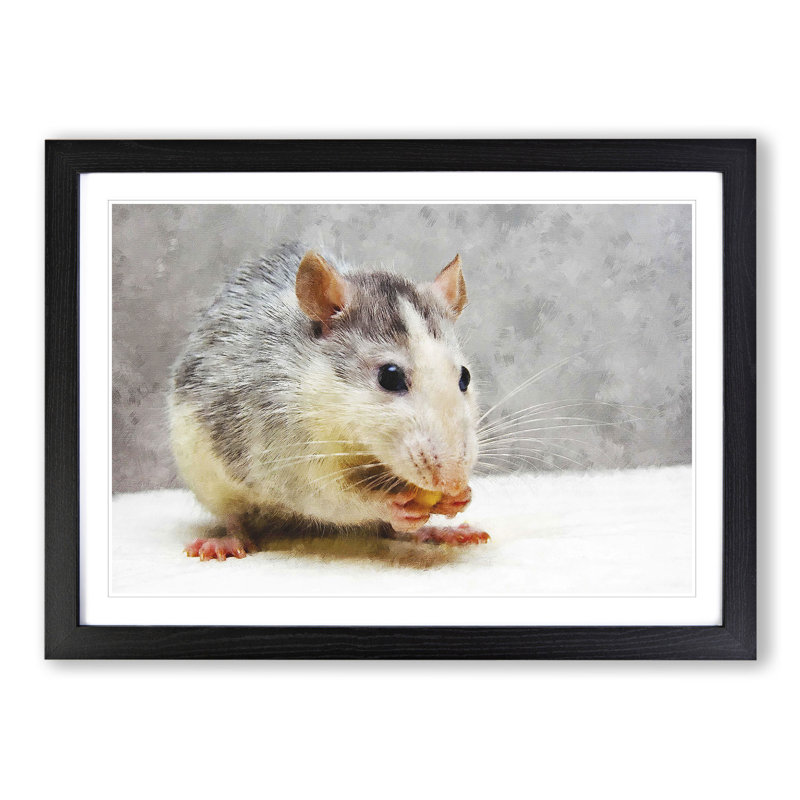 Rat - Picture Frame Painting, 48cm H x 65cm W x 2cm D, Black Framed
