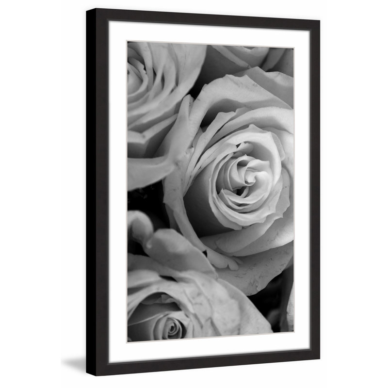 Judy Stalus - Single Picture Frame Print, 61cm H x 41cm W x 3.81cm D