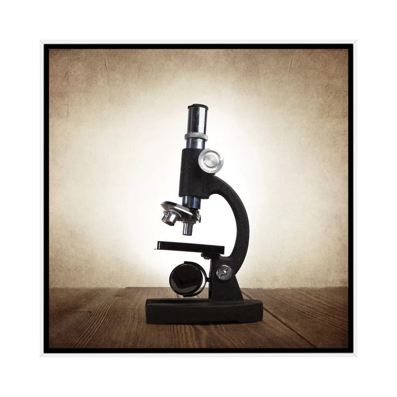 Microscope - Print on Canvas, White Framed, 66.04 cm H x 66.04 cm W
