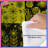 Floral Patchwork Pattern Comforter-127458695