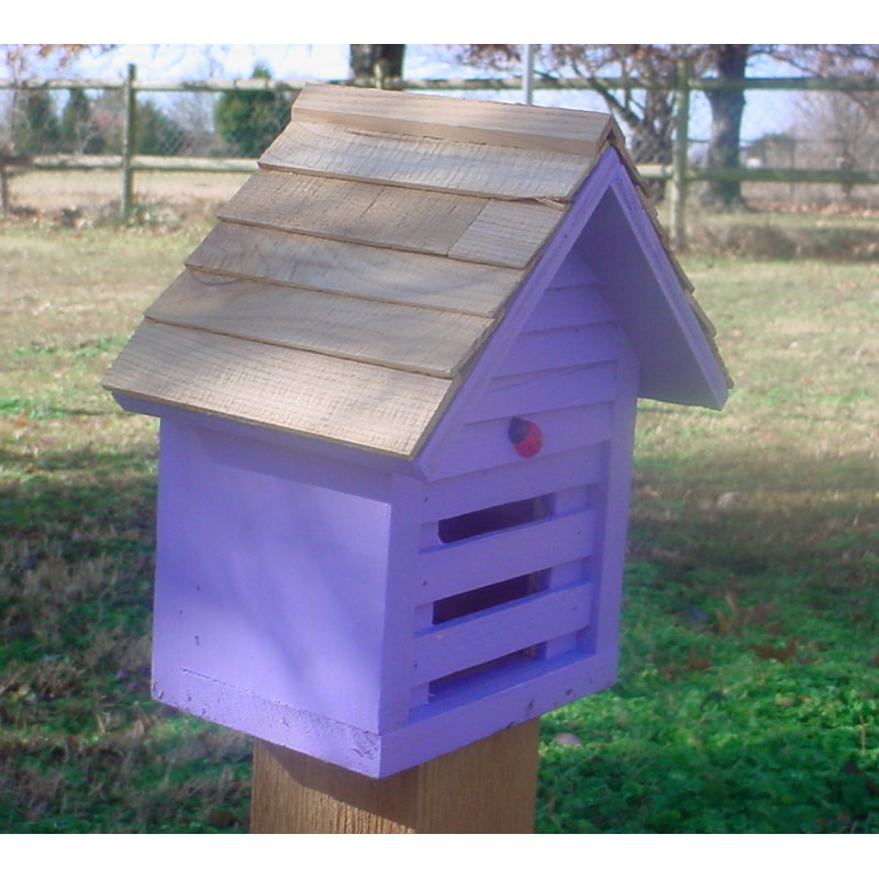 Maison coccinelle 11 po x 6 po x 6 po Medford, Lavande