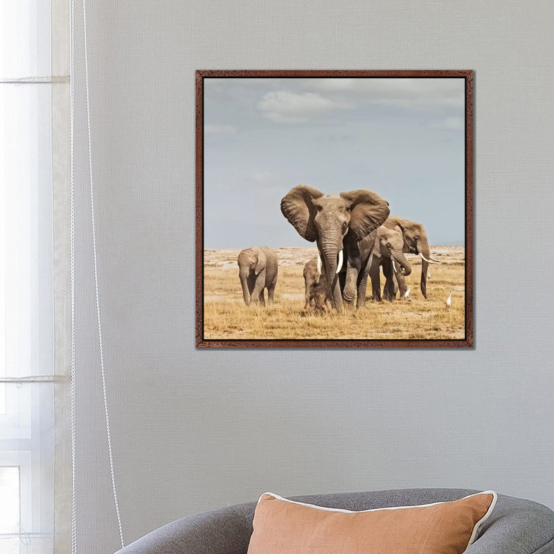 Colour Elephant Herd by Klaus Tiedge - Print on Canvas, 66.04 cm H x 66.04 cm W, Classic Brown Wood Framed