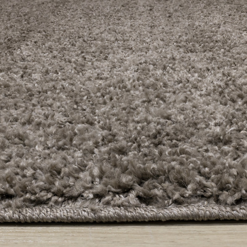 Tapis à poils longs Jayceonna, Rectangle 5 pi 3 po x 7 pi 7 po