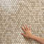 Carreau de mosaïque en porcelaine pour plancher et mur 11-7 / 8 "x 13-1 / 4" Hudson Hex Atlantis 1 "-71134624