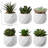 Jarema 4'' Faux Succulent Plant in Ceramic Pot