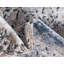 Parrado Ikat Indoor Rug-61862830
