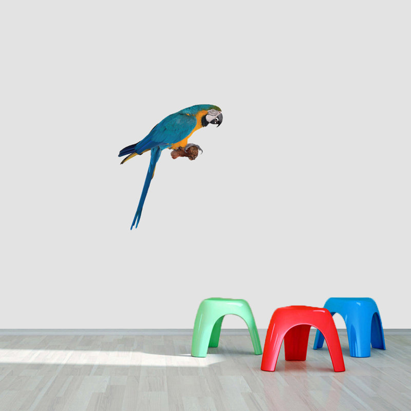 Adhésif décoratif d'un véritable perroquet, H 24 po x l 20 po