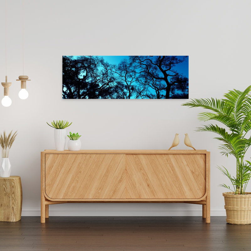 Silhouette Of An Oak Tree Oakland California USA by Terry Thompson - Wrapped Canvas Panoramic Print, 30.48 cm H x 91.44 cm W