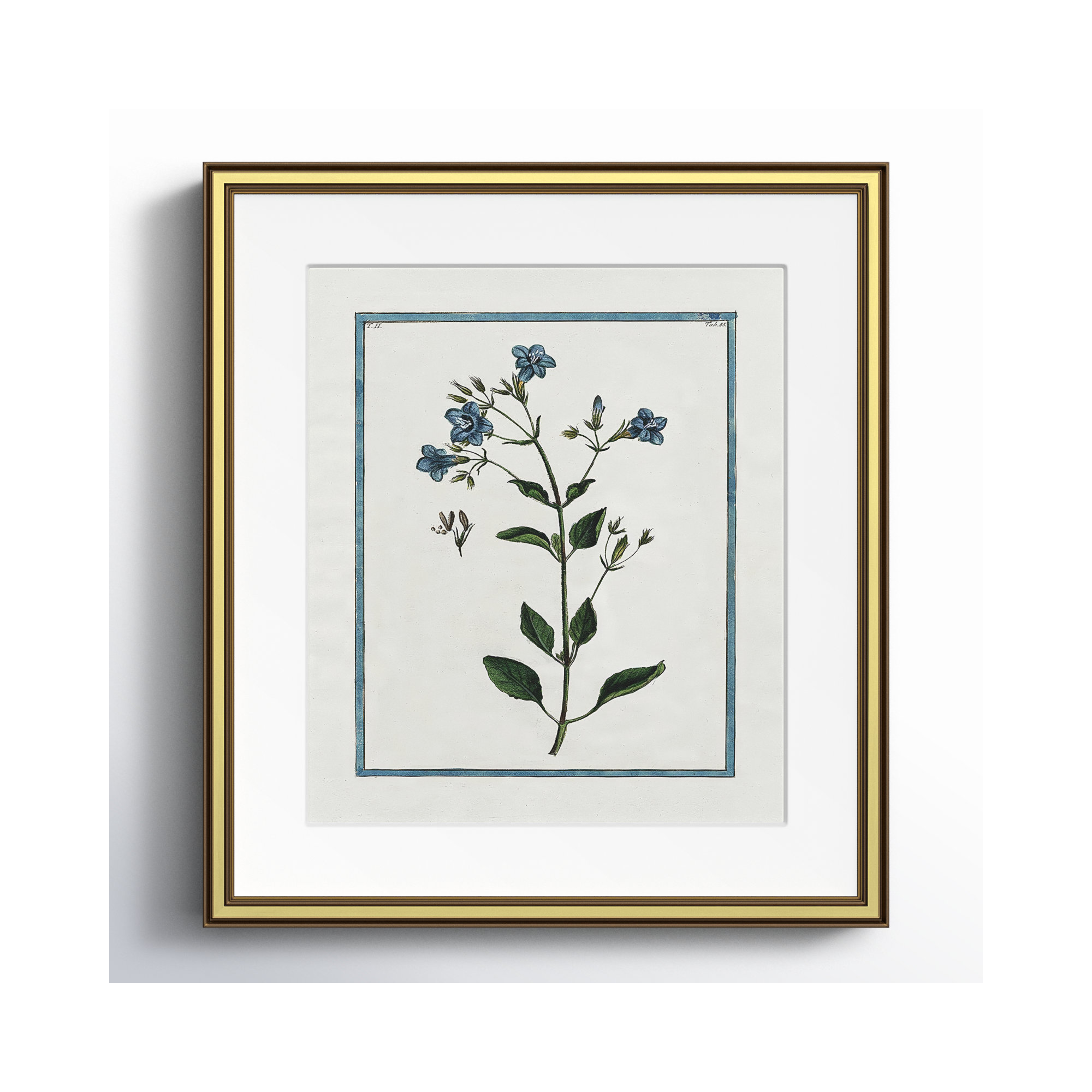 Soft Botanical I - Framed Art Full Bleed, 14.25" W x 16.25" H, Gold Framed