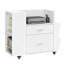 81cm Wide 2 -Drawer Mobile File Cabinet-144368635
