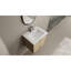 Meuble-lavabo de salle de bain 24 po, contreplaqué de chêne, lavabo en céramique, 2 portes à fermeture douce, armoire Charisma 24 po avec évier Modern American, élégance