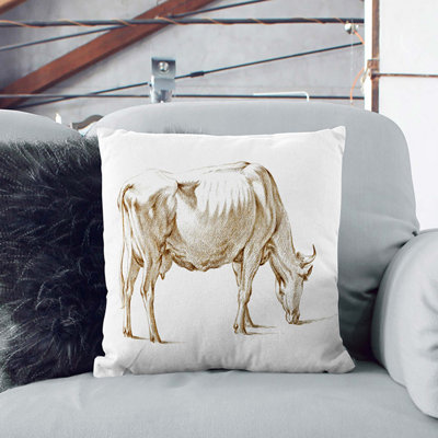 Square Throw Cushion