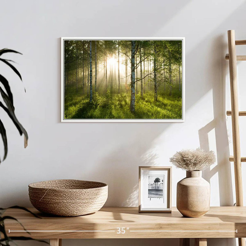 Birch Forest Sunlight, Cadre flottant blanc, 19 po x 13 po