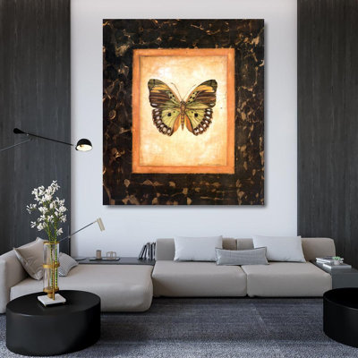 Sierra Leone Butterfly