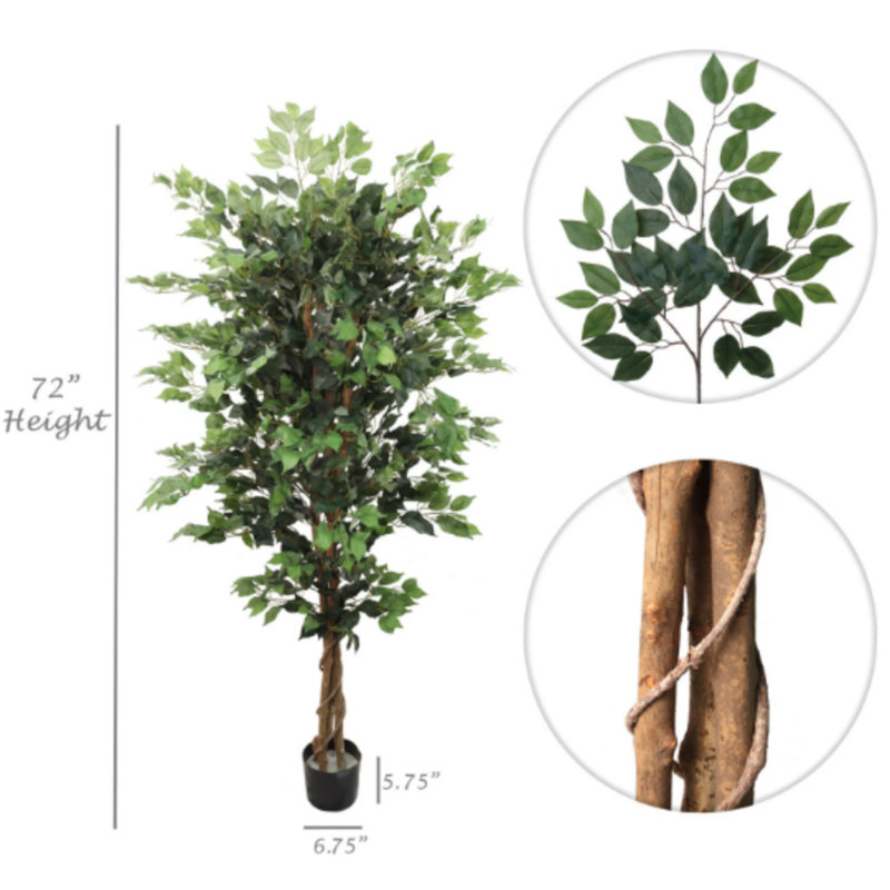 6ft Tall Artificial Ficus Tree In Black Pot, 2