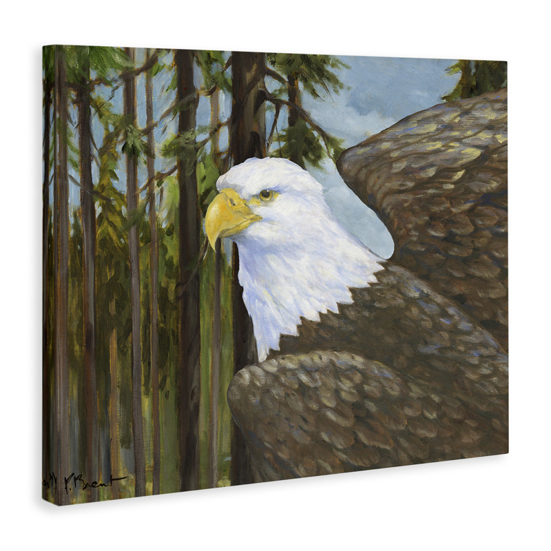 Toile Woodland Eagle's View, design par Paul Brent, H 30 po x l 40 po