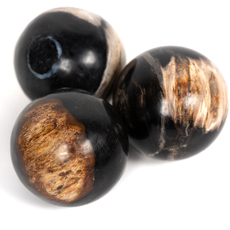 Petrified 3 Piece Deco Wood Sculpture Set