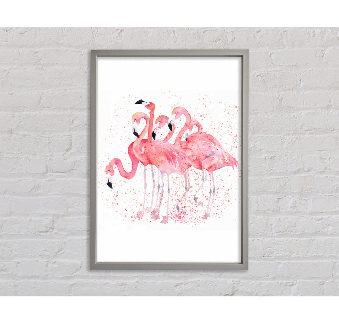 Pink Flamingo Splash - Einzelner Bilderrahmen Kunstdrucke auf Leinwand