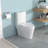 Ceramic One Piece Bathroom Toilet, 12-Inch Rough-In, 1.24/1.6 Dual Flush, Seat, 800G Map Skirted Design For Low Maintenance, Quick-Release Hinge, Structure Toilet With Pp Cleaner Look, Build-128882684