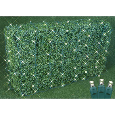 LED Net Lights