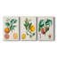 Orange de Malte - Toile tendue avec châssis sur mesure - 3 pièces-495304933