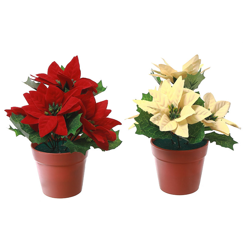 Ensemble de 2 pots à poinsettia