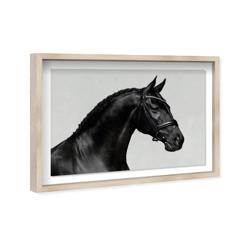 Midnight Majesty I Print by Oliver Gal, 16.5"H x 11.5"W, Natural Oak Shadowbox
