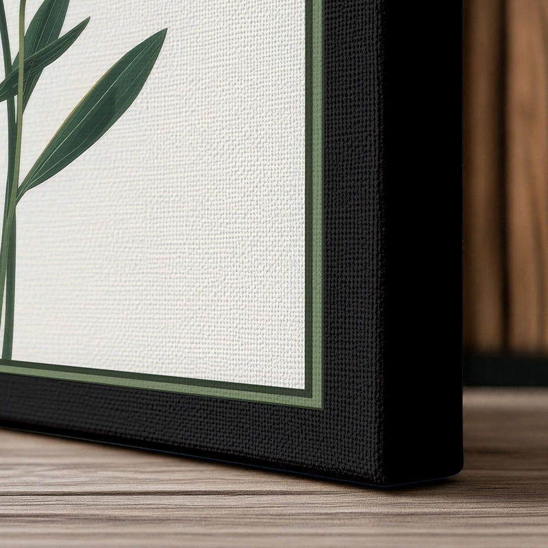 White Narcissus Study Botanical - Wrapped Canvas, 30x20 - 76.2 x 50.8 cm, Black Border