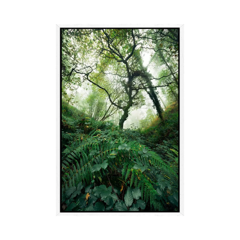 Inside The Woods by Stefan Hefele - Gallery-Wrapped Canvas Giclée on Canvas, 101.6 cm H x 66.04 cm W, White Framed