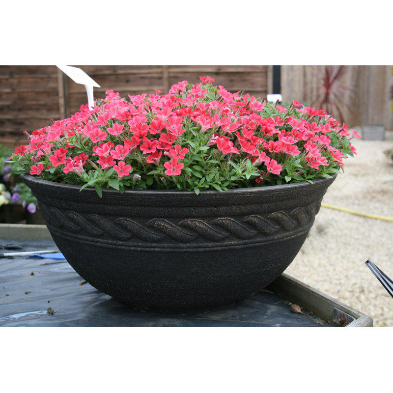 Canas Pot Planter, Black