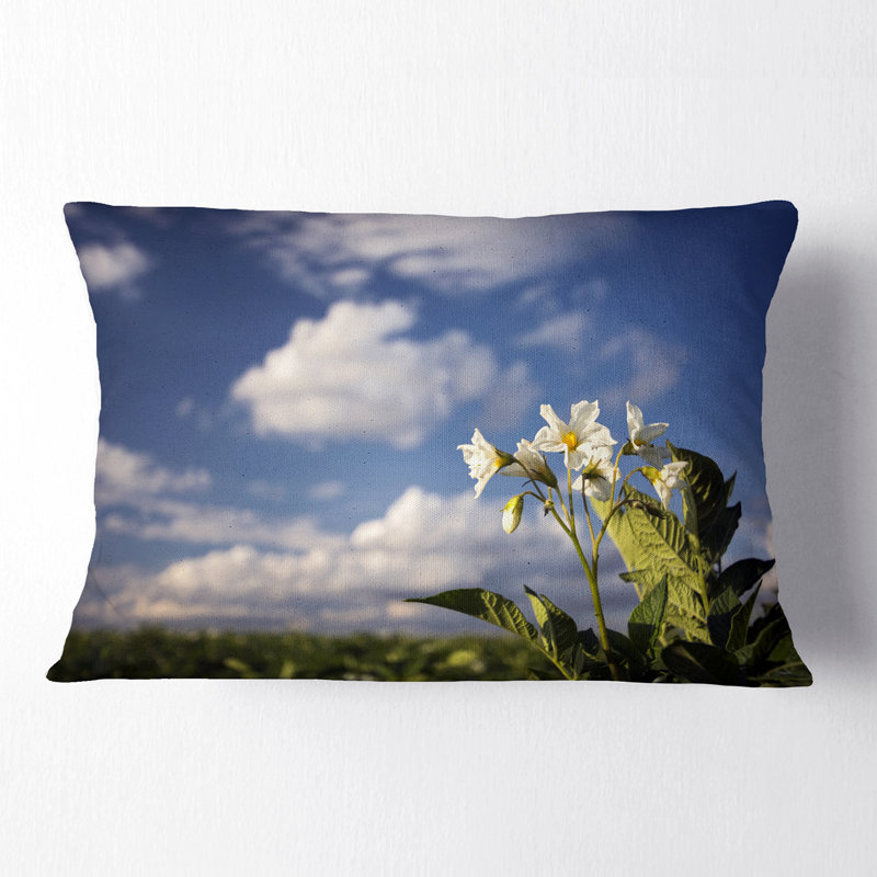 Coussin à fleurs et pommes de terre