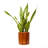 7.8 In. Dark Wood Plastic Self-Watering Planter Pot