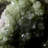 Austino Landscape & Nature Crystal