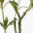 32'' Faux Japonica Plant in Cement Pot